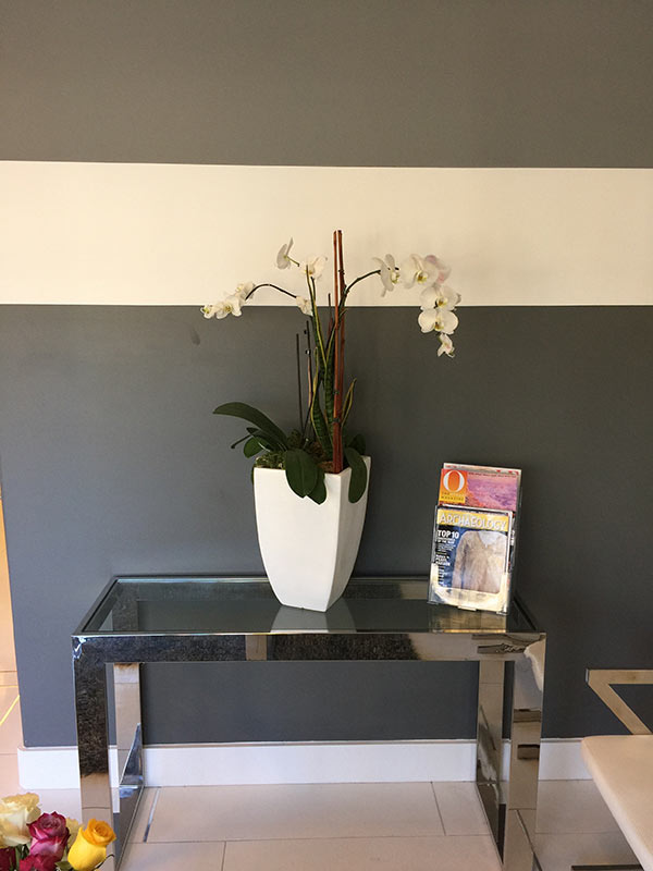 plant